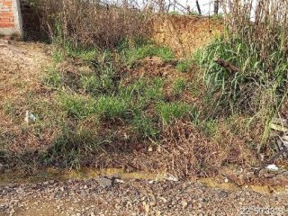 Imagem do imóvel TE00999