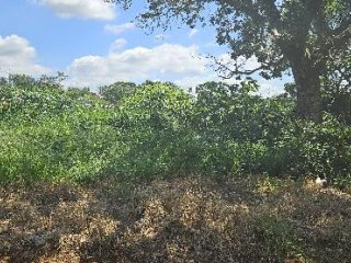 Imagem do imóvel TE68231