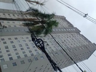 Imagem do imóvel AP95921