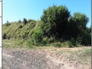 Imagem do imóvel TE20854