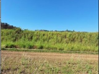 Imagem do imóvel TE11496