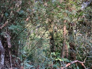 Imagem do imóvel TE29208