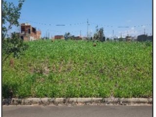 Imagem do imóvel TE65794