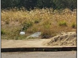 Imagem do imóvel TE13448