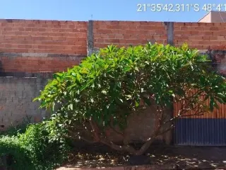 Imagem do imóvel CA29208