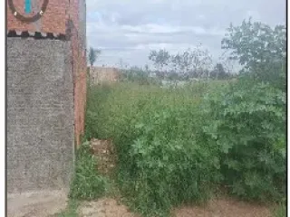 Imagem do imóvel TE20603