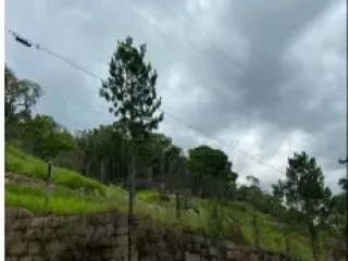 Imagem do imóvel TE16020