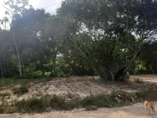 Imagem do imóvel TE99424