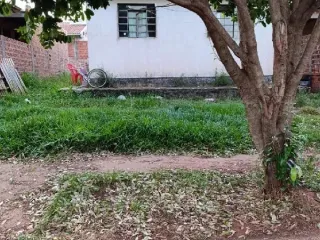 Imagem do imóvel CA63614